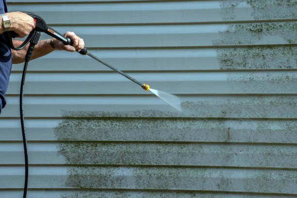 Best Pool Deck Cleaning  in West Milton, PA